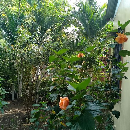 The Malinche Hostal ريفاس المظهر الخارجي الصورة