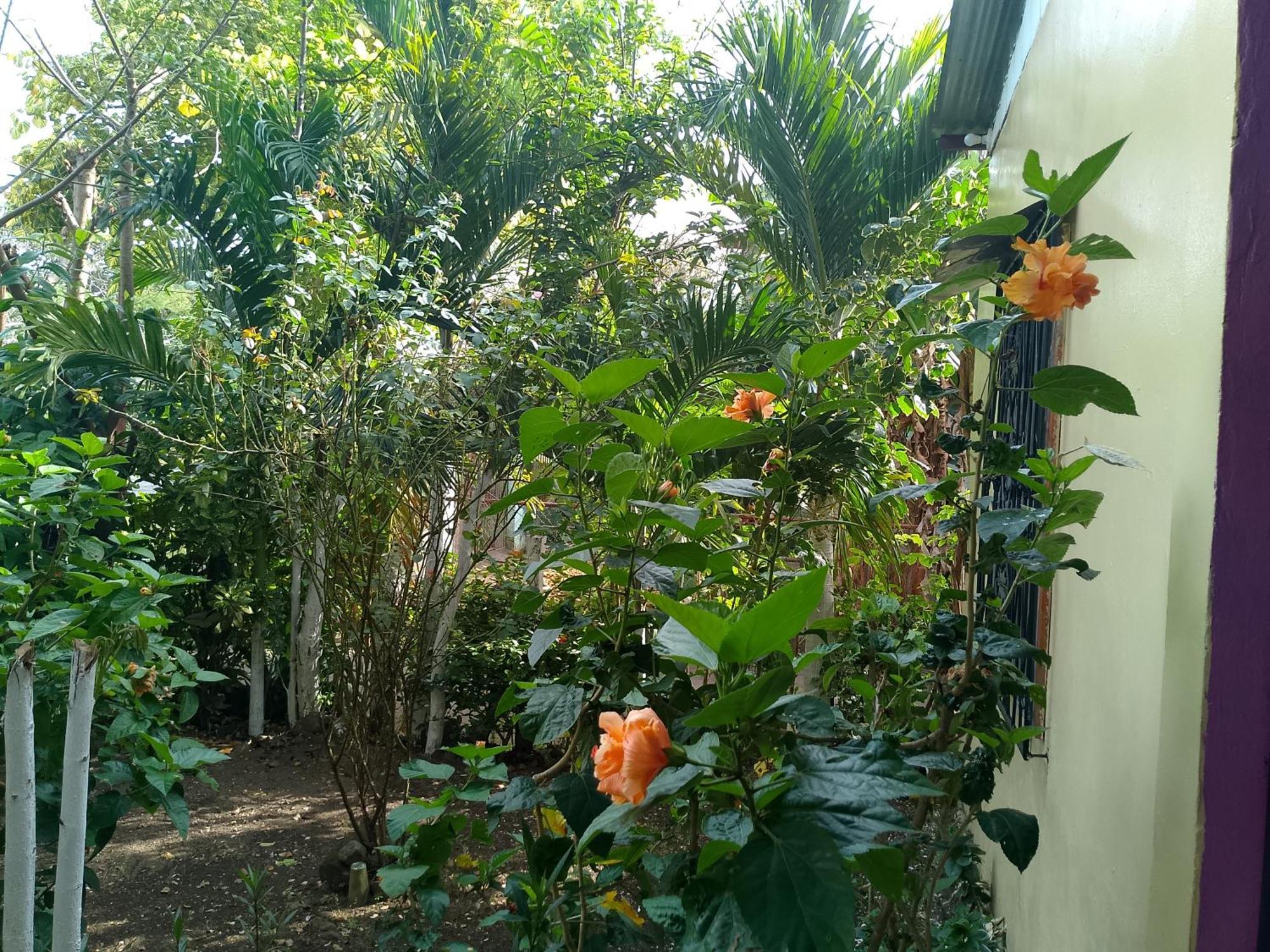 The Malinche Hostal ريفاس المظهر الخارجي الصورة